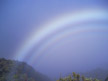 A White Maui Rainbow= DC Langer