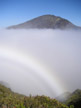 White Maui Rainbow- DC Langer